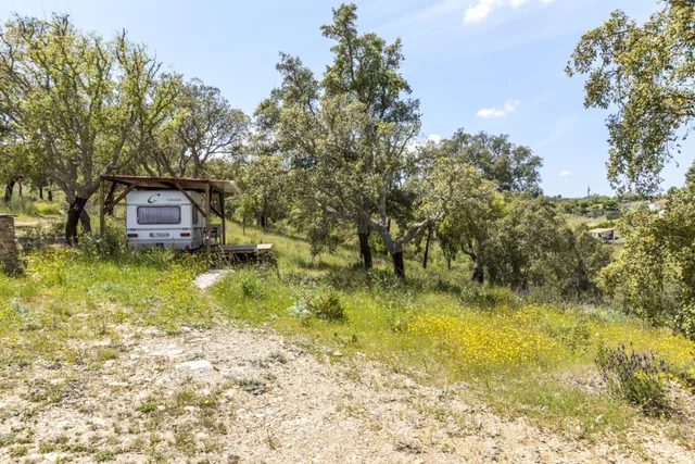 A caravan on the hill among cork oaks and wildflowers