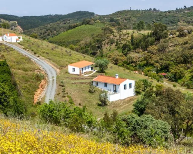 White houses on a green hillside above the valley road